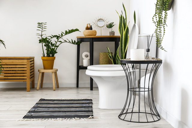 0 - Assentos Sanitários